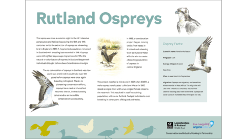 Anglian Water Nature Reserve - Osprey Information Board