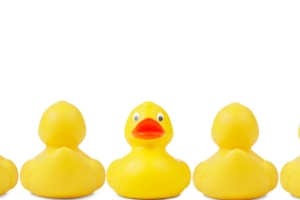 Get your (digital) ducks in a row